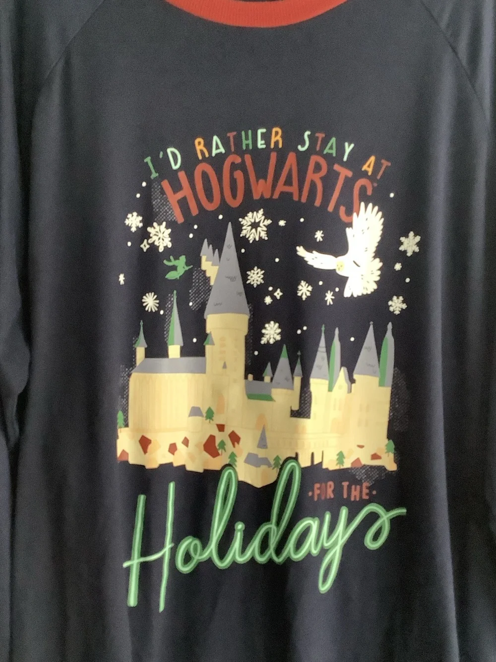 Holiday Graphic Navy & Red Men's Pajama Set